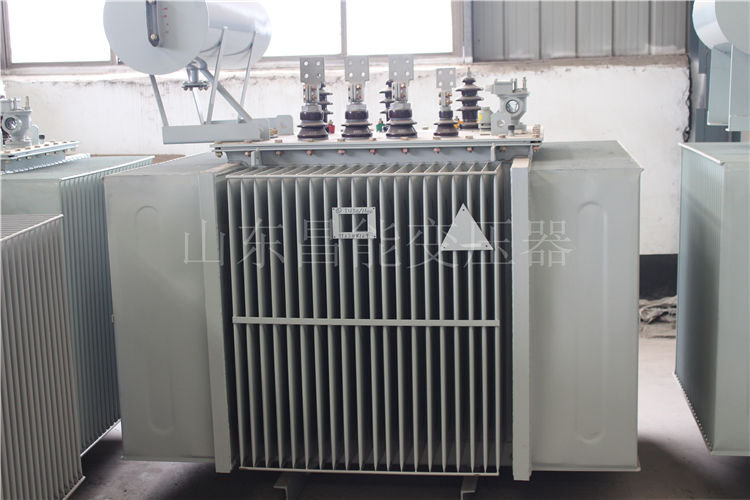 长白山S20-2000KVA变压器
